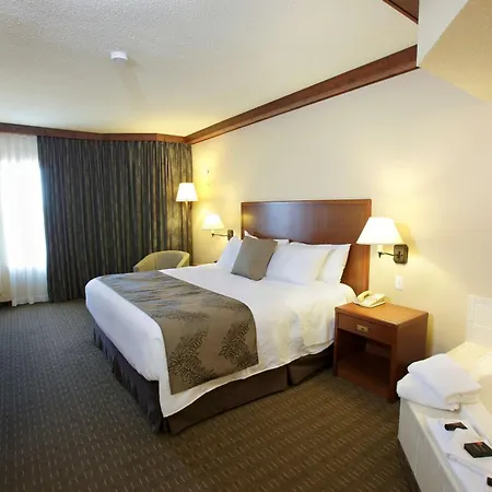 Best Western Plus Lamplighter Inn & Conference Centre London Exterior photo